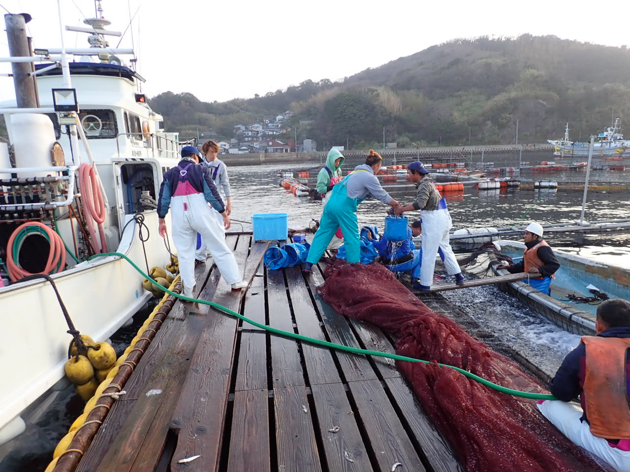 操業のリアル】長崎県まき網① - 海ペディア