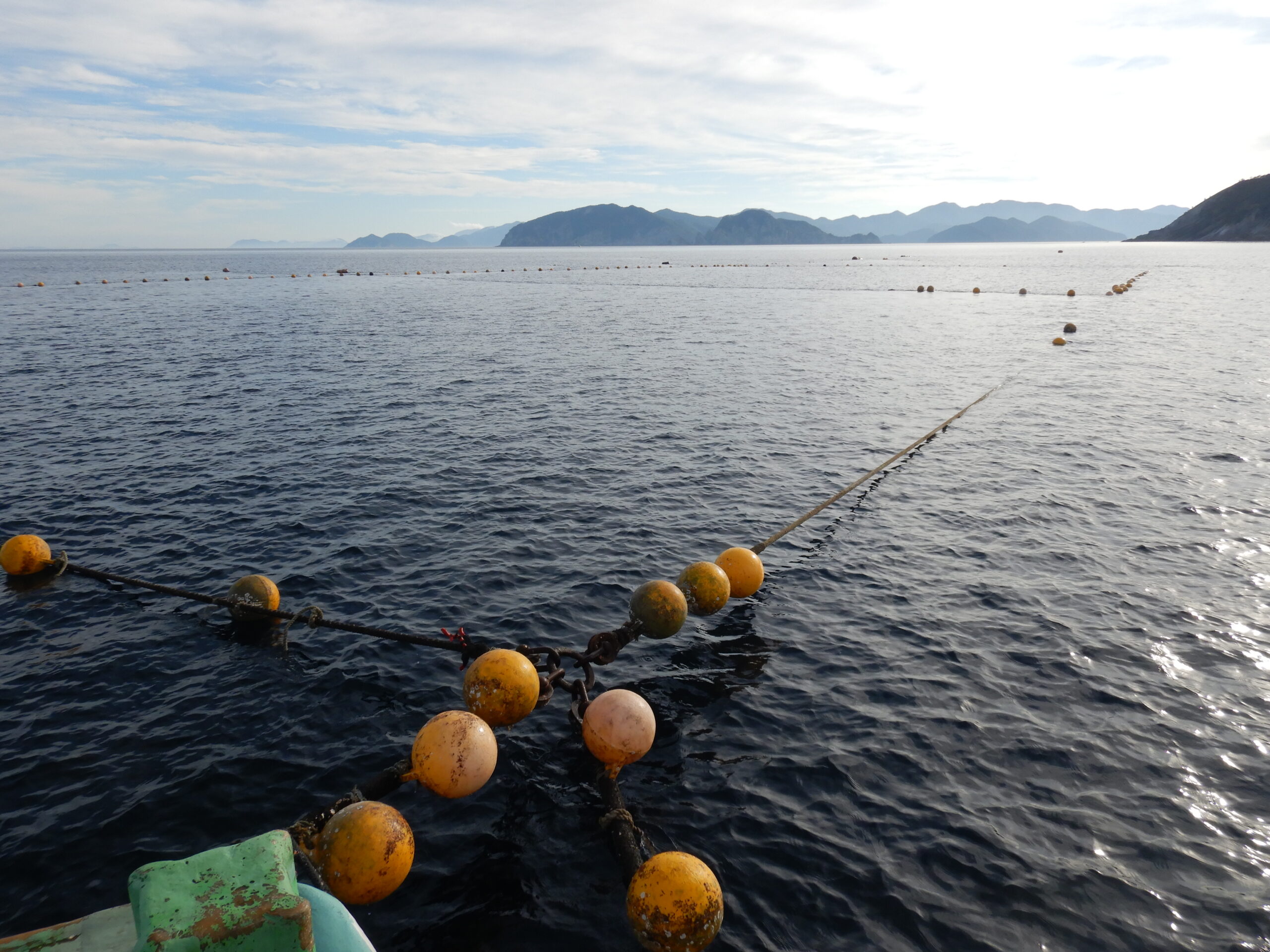 定置網漁具の側張