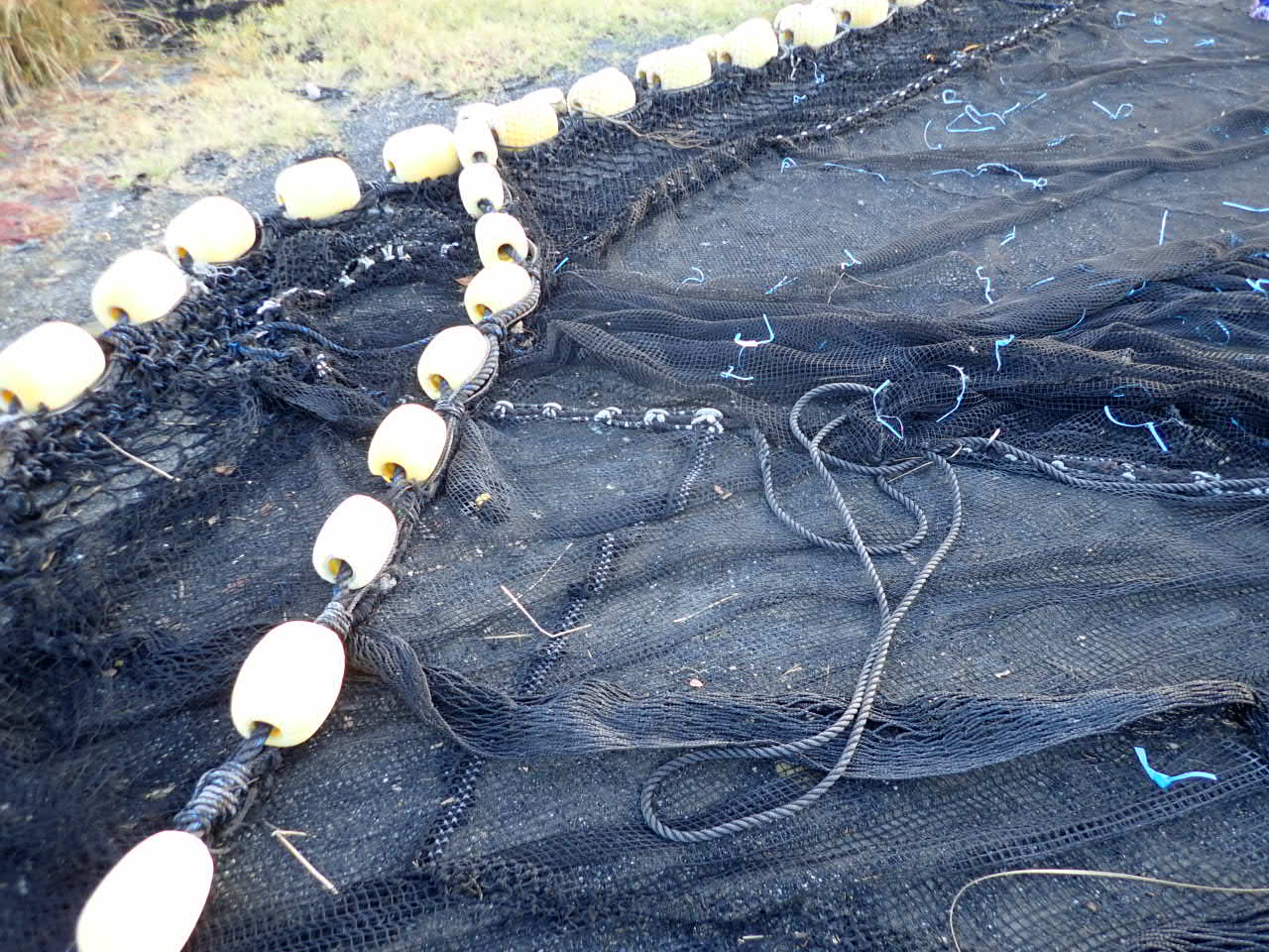 メンテナンス中の箱網